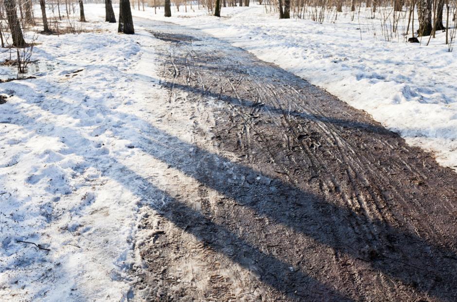 节气之美 | 倏忽秋色尽,寒意渐入冬