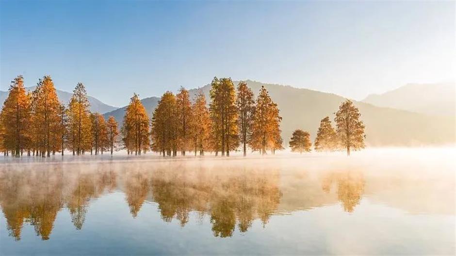 节气之美 | 倏忽秋色尽,寒意渐入冬