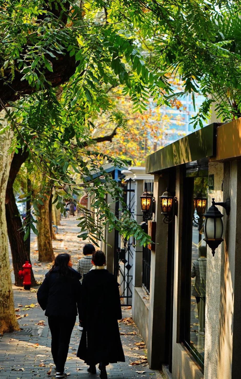 这条火出圈的马路被称为