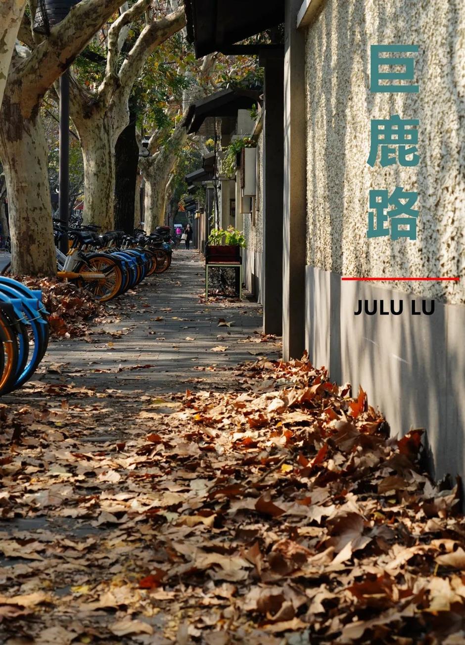 这条火出圈的马路被称为