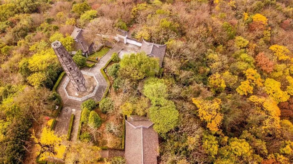 上海的秋,在這是一道赤橙黃綠青藍紫