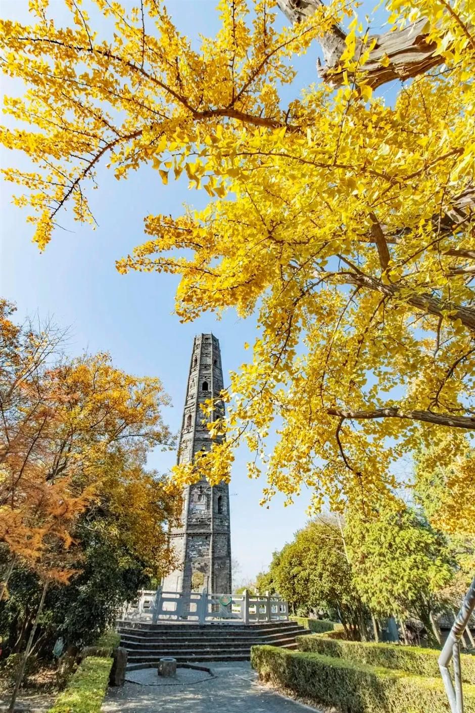 上海的秋,在這是一道赤橙黃綠青藍紫