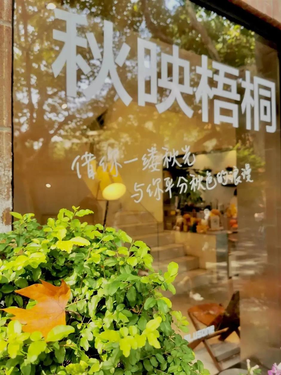 国际认证!上海,全国TOP10!