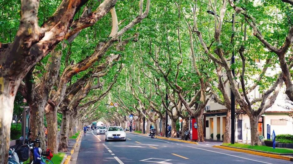 国际认证!上海,全国TOP10!