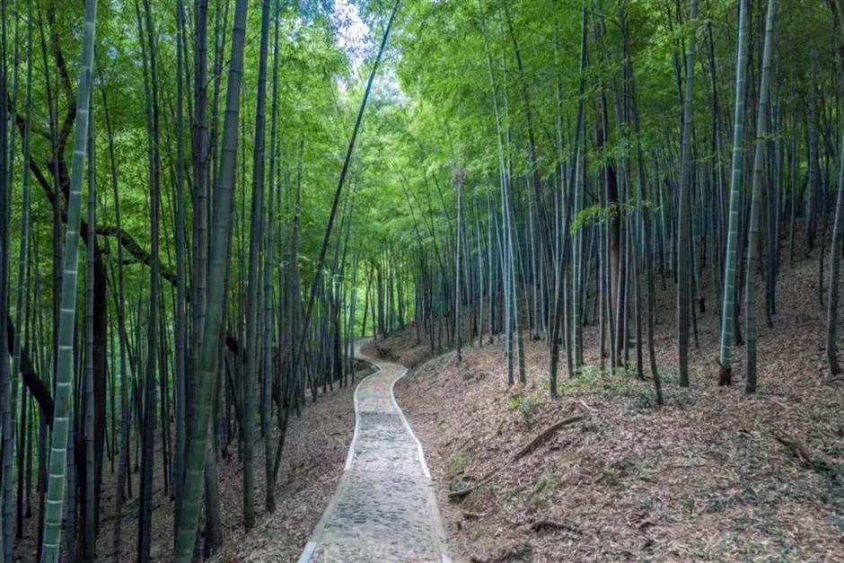 上海的秋,在這是一道赤橙黃綠青藍紫