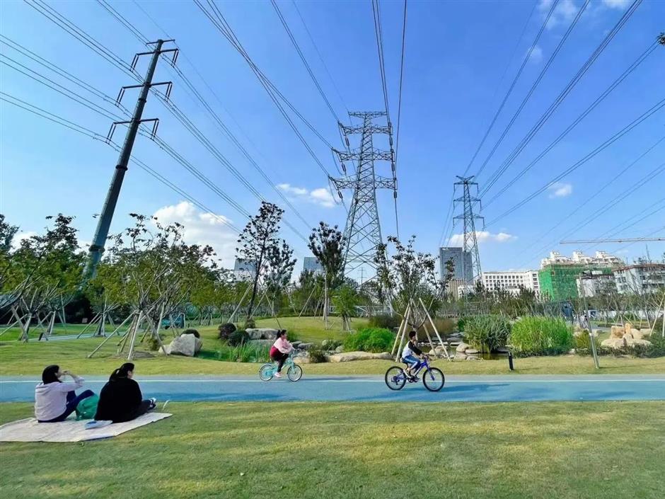 从樱花粉美到落叶黄!徐汇人家门口的中环绿廊,还在持续