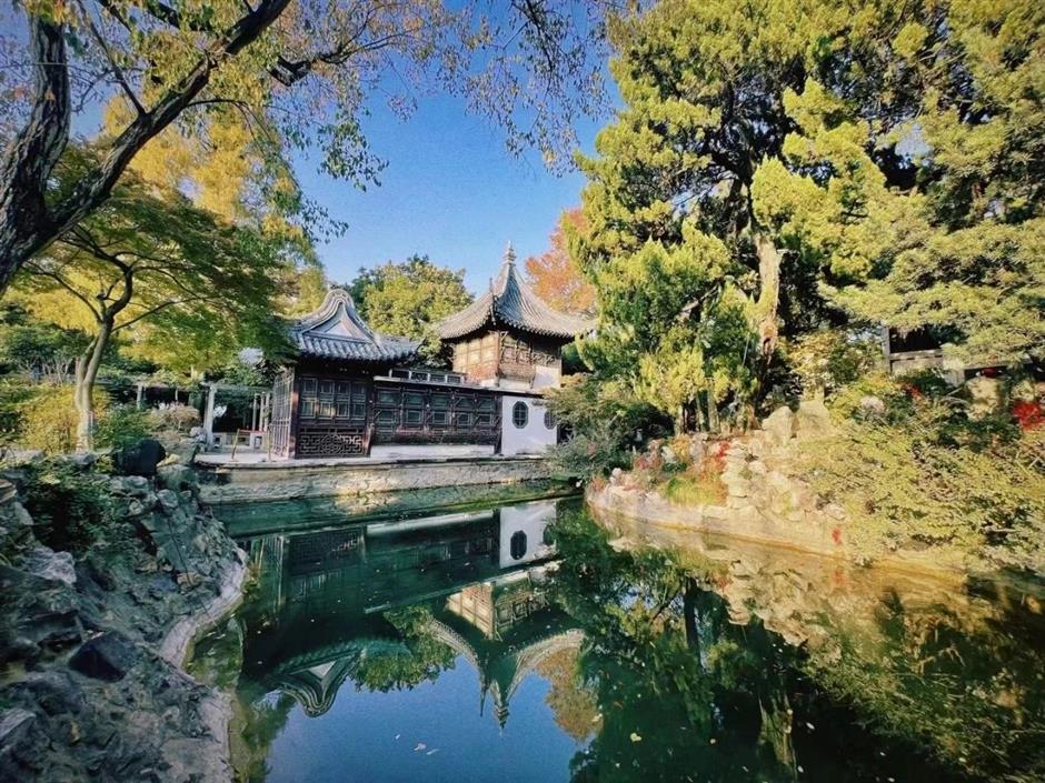 从樱花粉美到落叶黄!徐汇人家门口的中环绿廊,还在持续