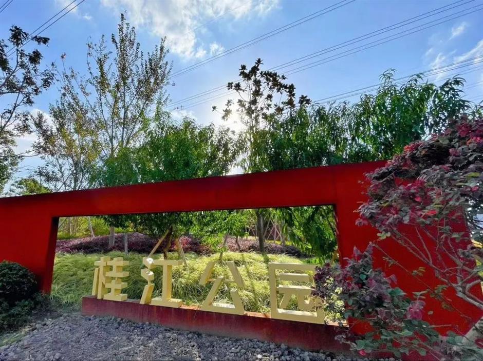 从樱花粉美到落叶黄!徐汇人家门口的中环绿廊,还在持续