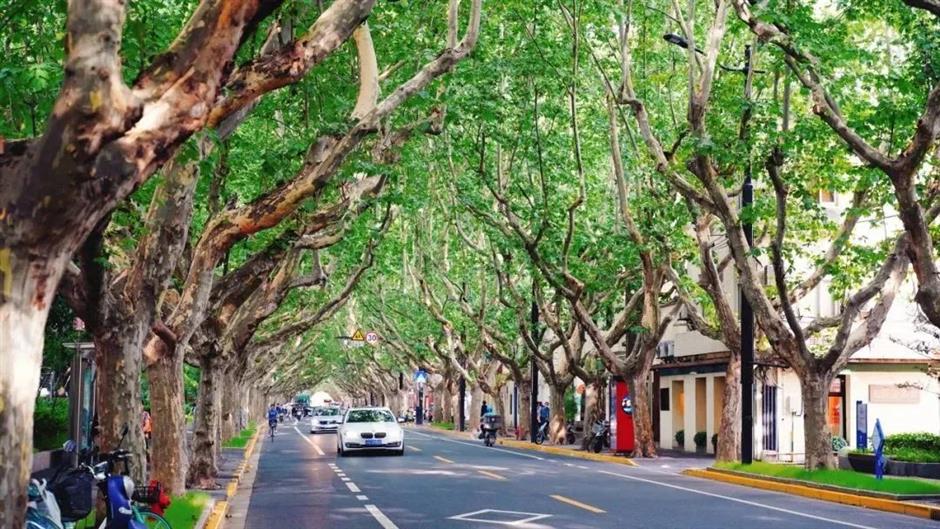 荣登榜首!上海率先进入全域休闲化发展阶段,彰显区域休闲发展新效能