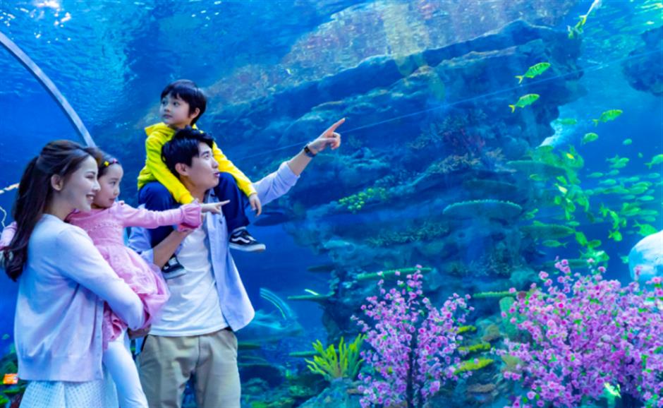 新优惠新活动,上海这些景区值得逛逛