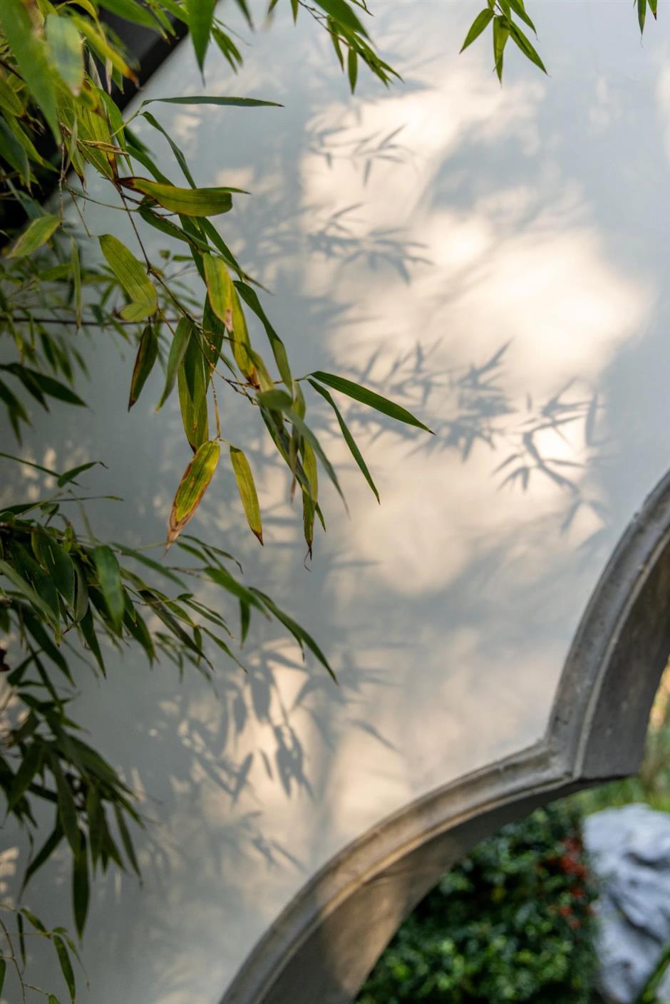 景美人少还免费,这个公园的秋色正绚烂