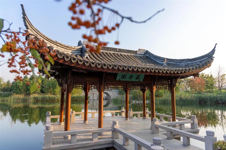 景美人少还免费,这个公园的秋色正绚烂