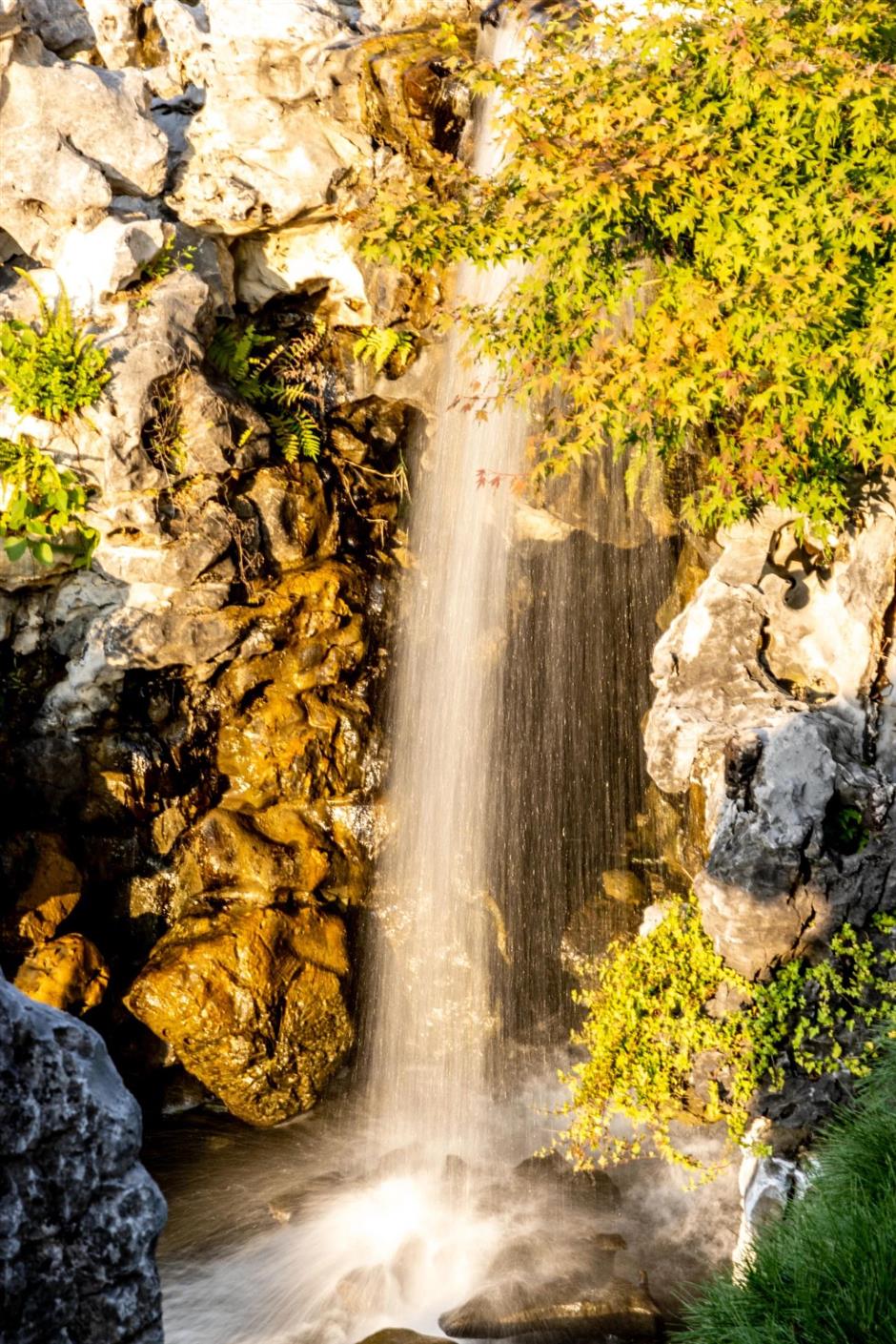 景美人少还免费,这个公园的秋色正绚烂