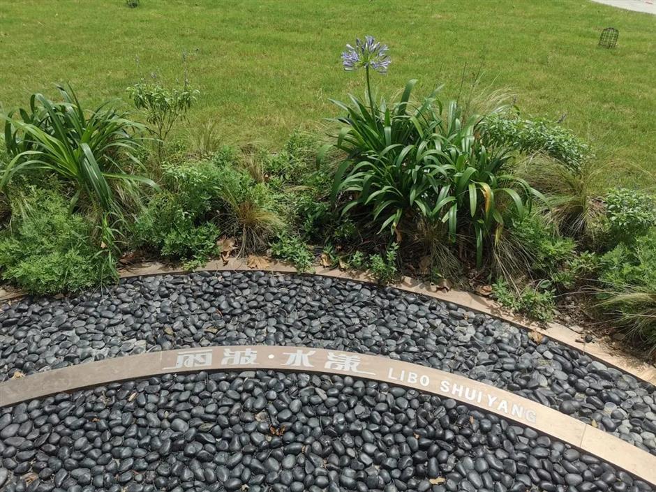 游逛法南的小梦想,来这座口袋公园分分钟就能实现!丨家门口的好去处