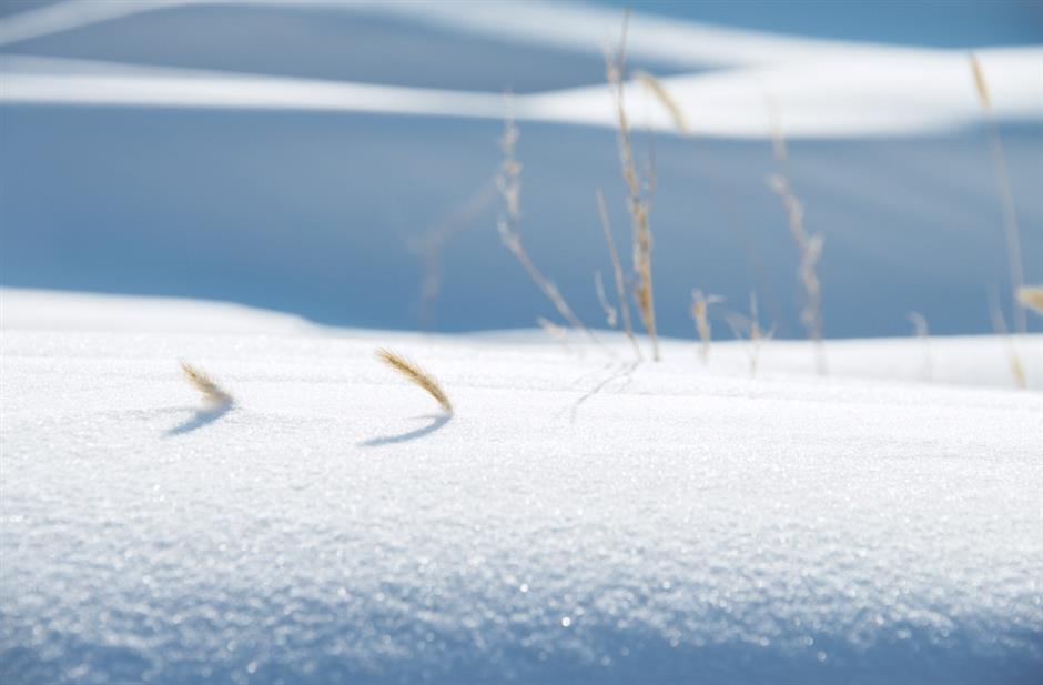 节气之美 | 晚来天欲雪,能饮一杯无