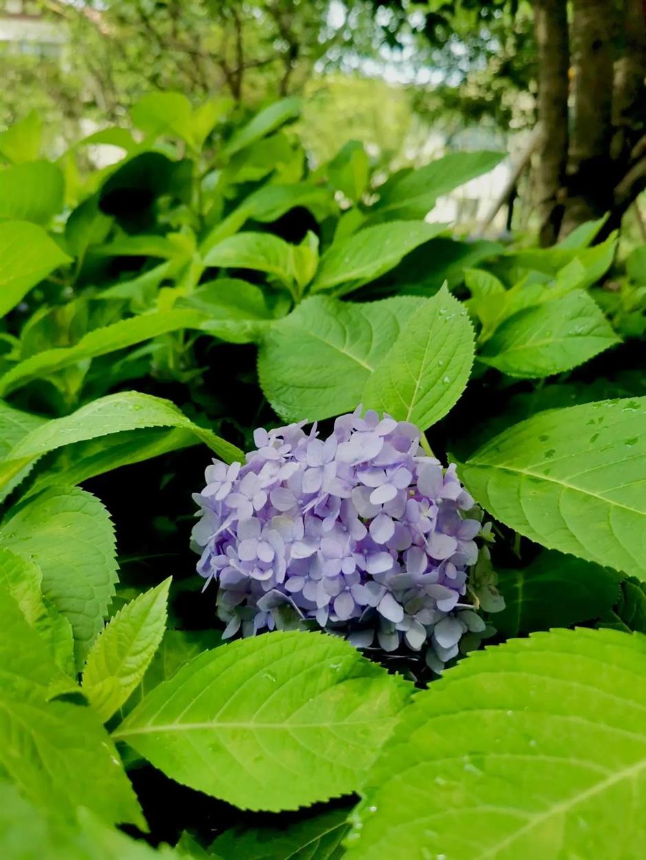 游逛法南的小梦想,来这座口袋公园分分钟就能实现!丨家门口的好去处