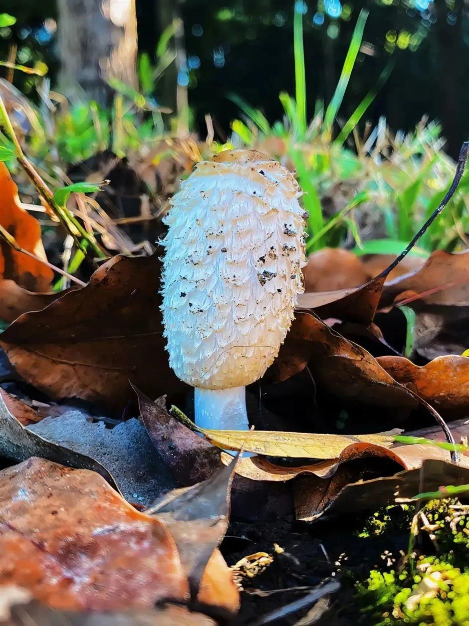 想享受惬意的晚秋時光?快來這裡打卡吧!