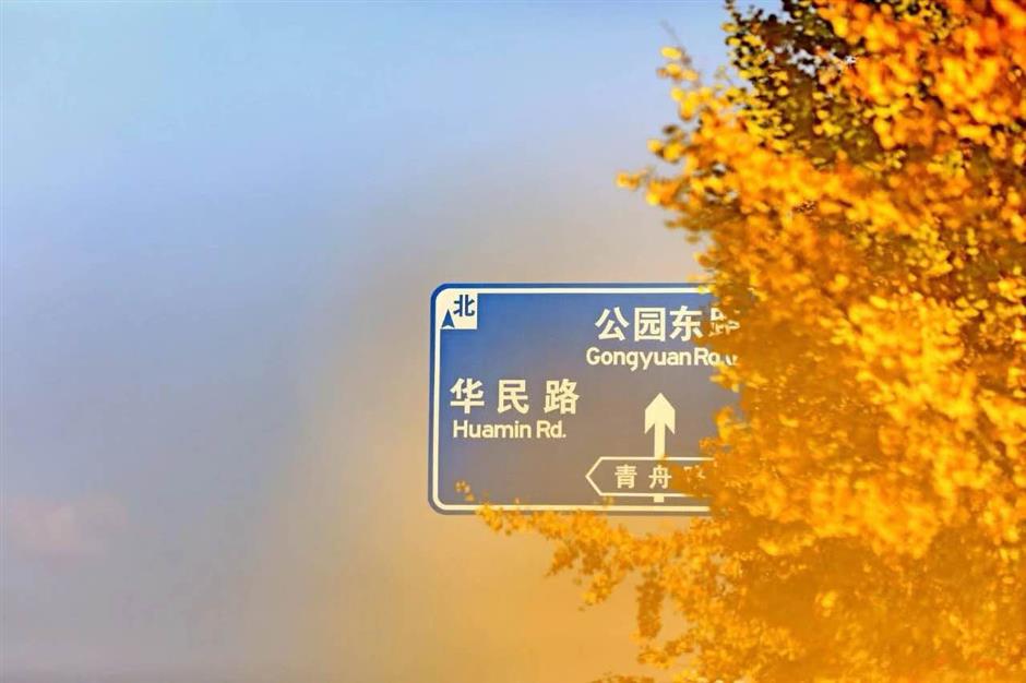 深秋大赏Last Call!这些古树美了千百年,只等你来