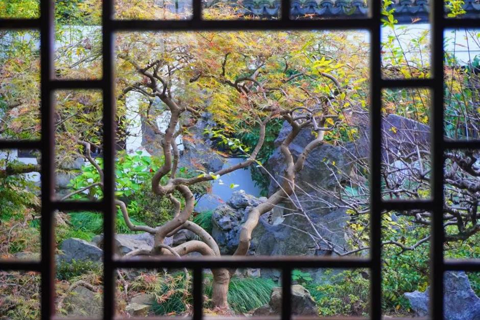 上海古典园林的秋色,藏着最撩人的江南诗意