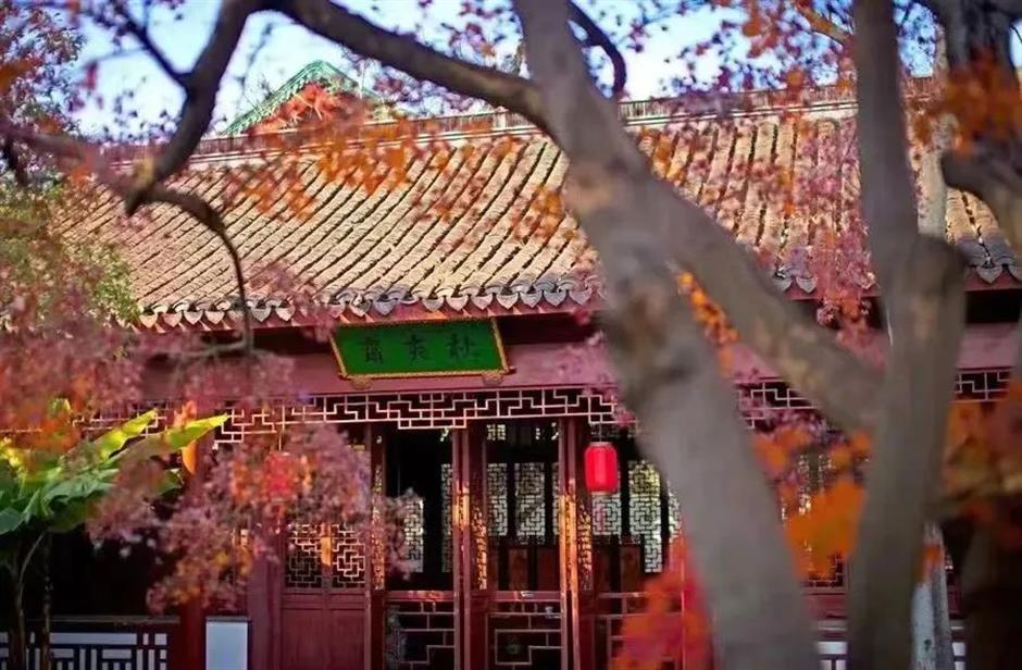 上海古典园林的秋色,藏着最撩人的江南诗意