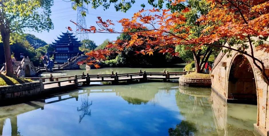 上海古典园林的秋色,藏着最撩人的江南诗意