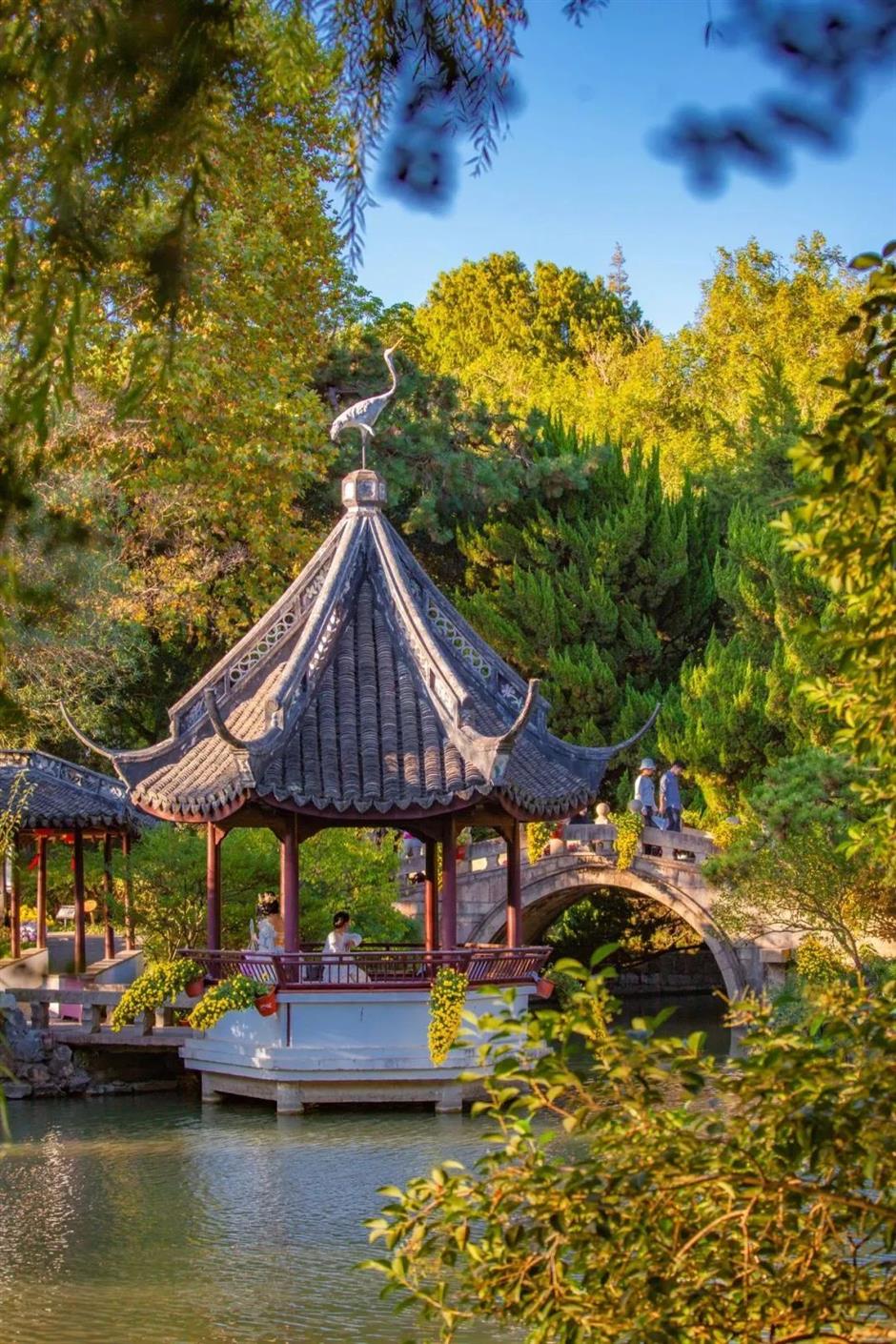 上海古典园林的秋色,藏着最撩人的江南诗意