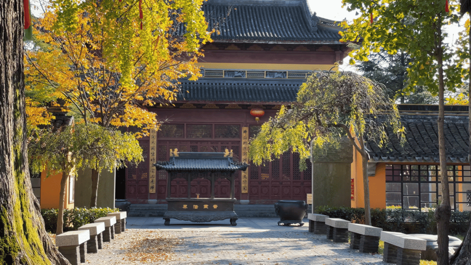 深秋大赏Last Call!这些古树美了千百年,只等你来