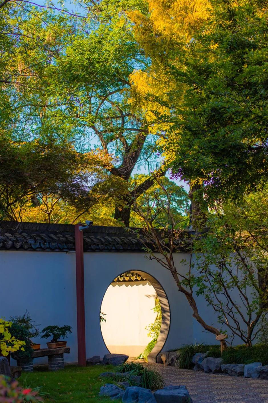 上海古典园林的秋色,藏着最撩人的江南诗意