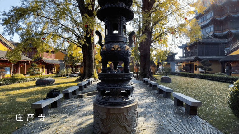 深秋大赏Last Call!这些古树美了千百年,只等你来