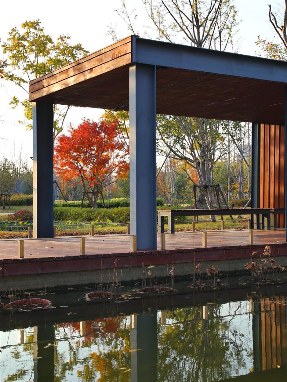 絕美秋色,藏在蘇州河邊免費小公園裡