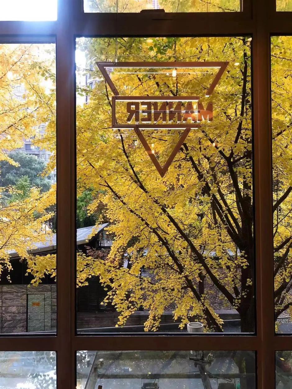 黄了!这条马路打卡银杏正当时