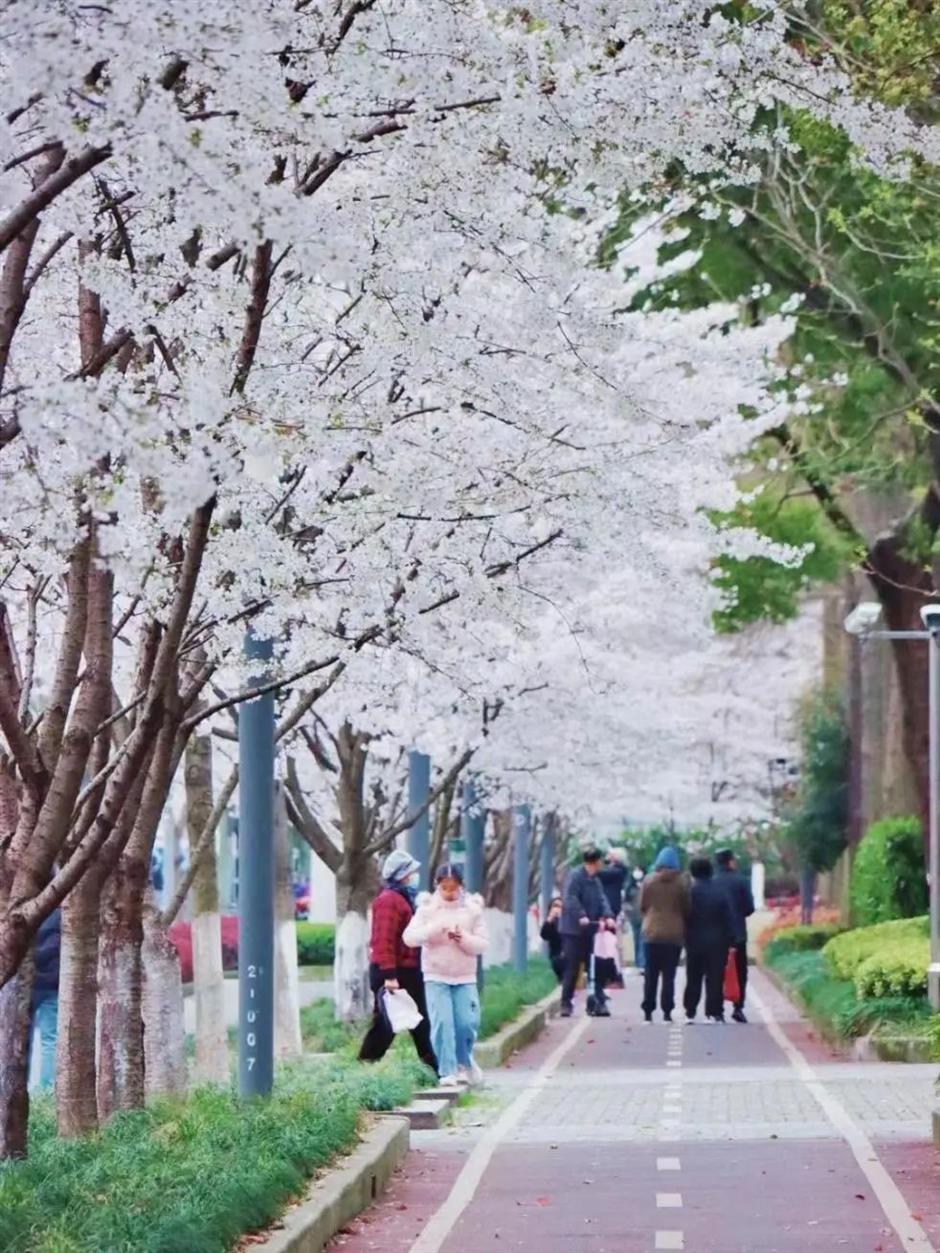 书房画室餐厅一应俱全!免费开放的
