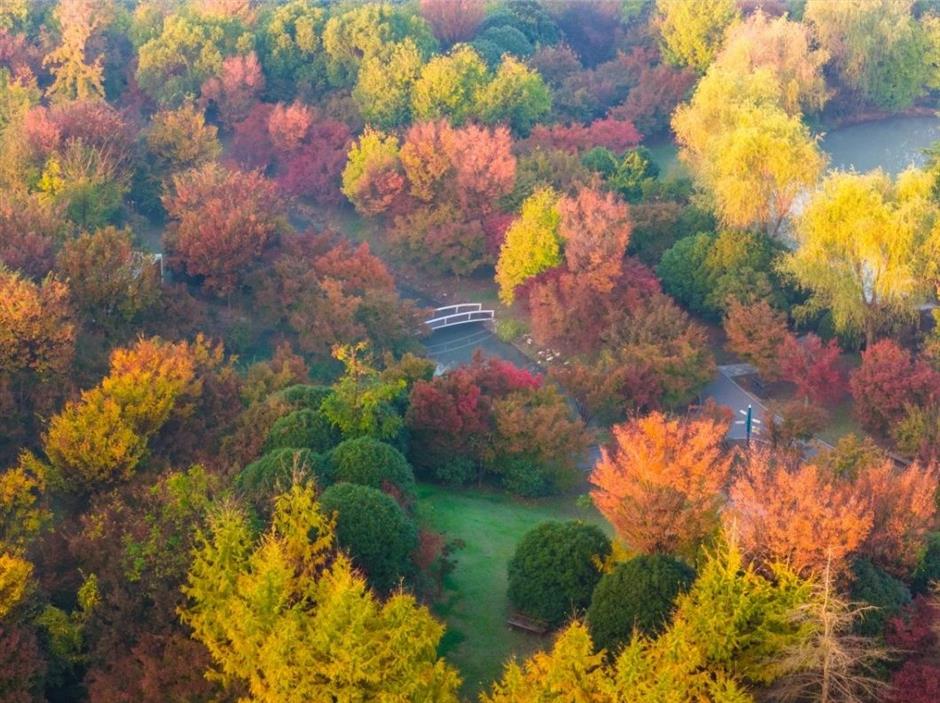 入眼成画!这些地方藏着沪郊的醉美初冬