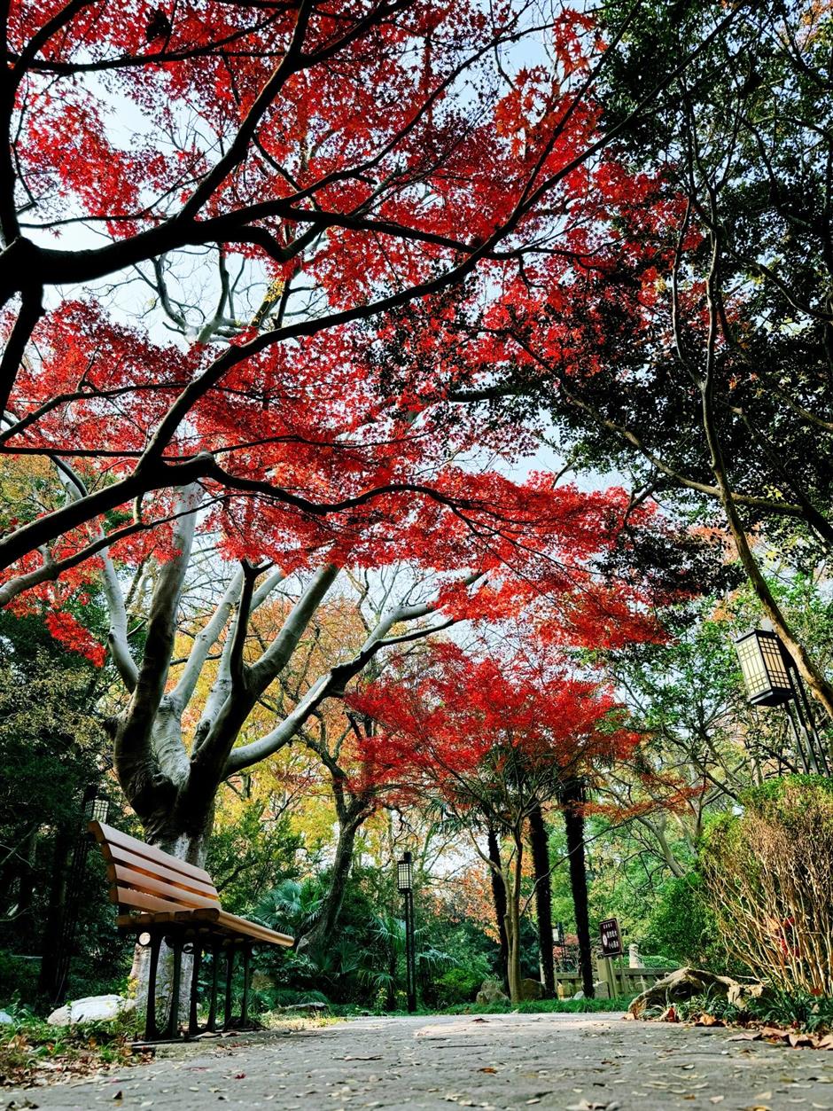 这些超美打卡点,随手一拍都是大片