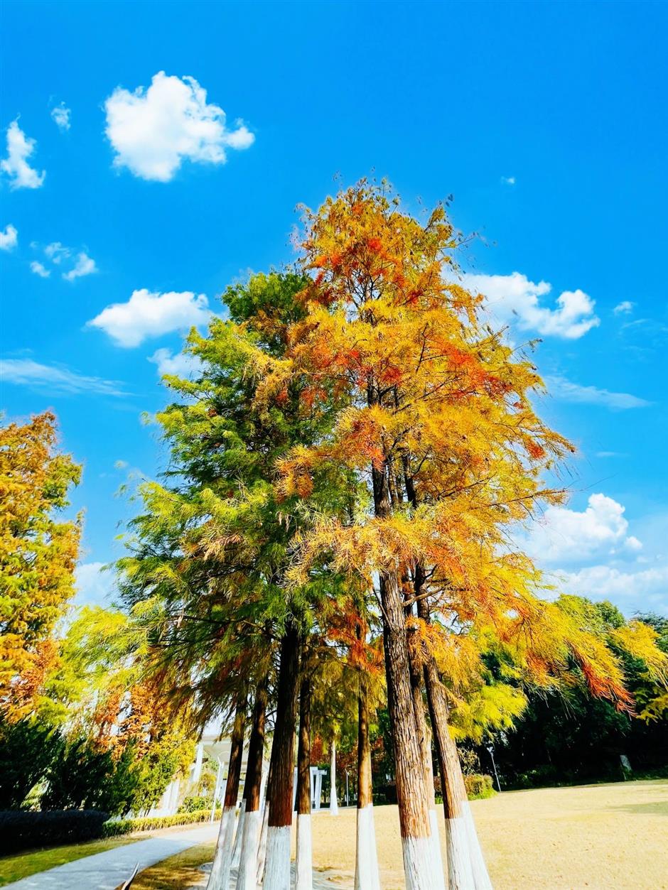 这些超美打卡点,随手一拍都是大片