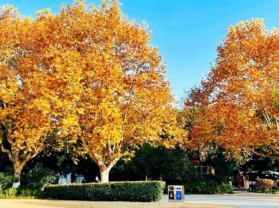 这些超美打卡点,随手一拍都是大片