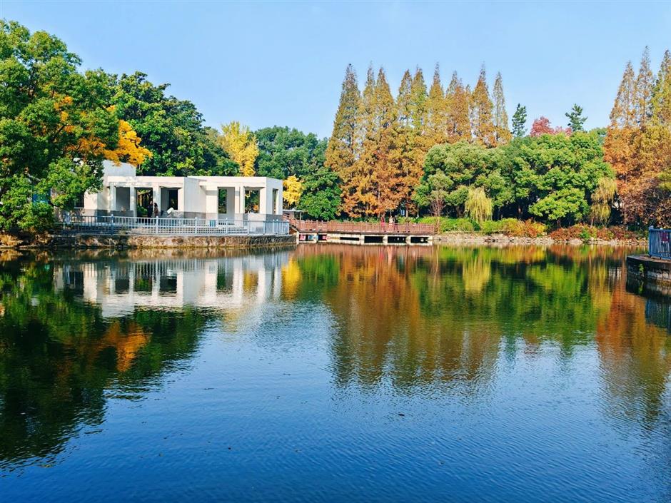 这些超美打卡点,随手一拍都是大片