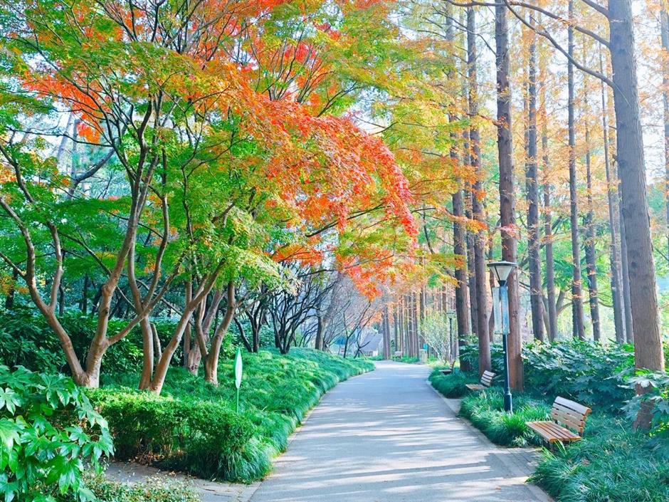 这些超美打卡点,随手一拍都是大片