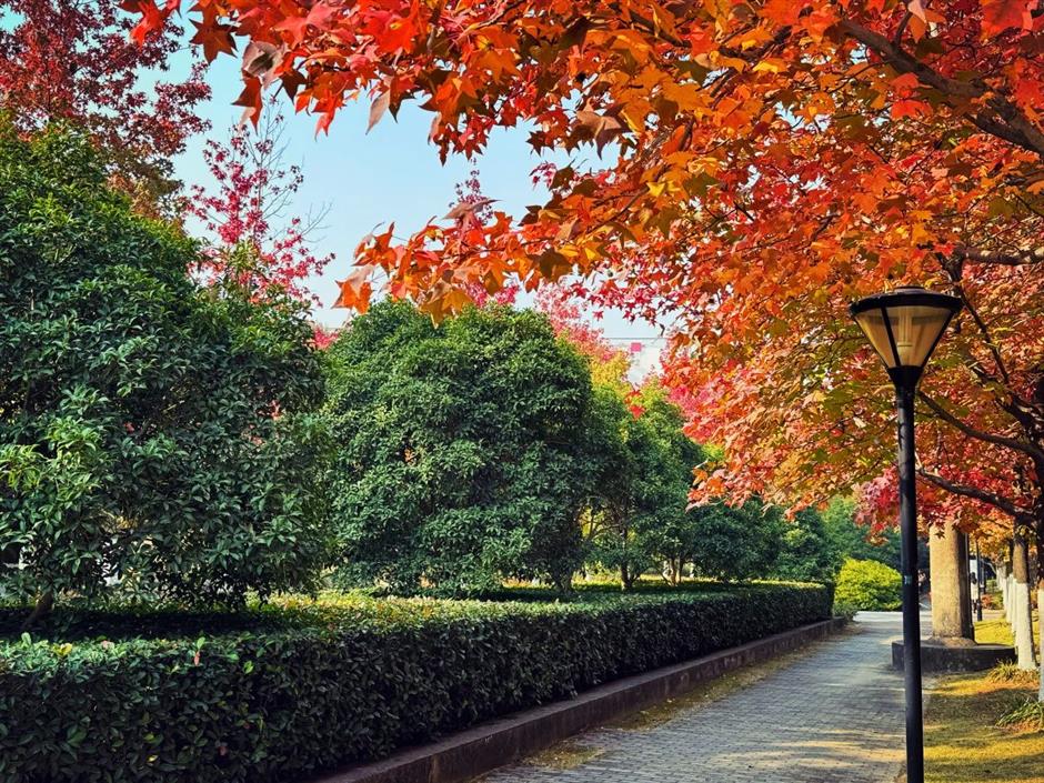 这些超美打卡点,随手一拍都是大片