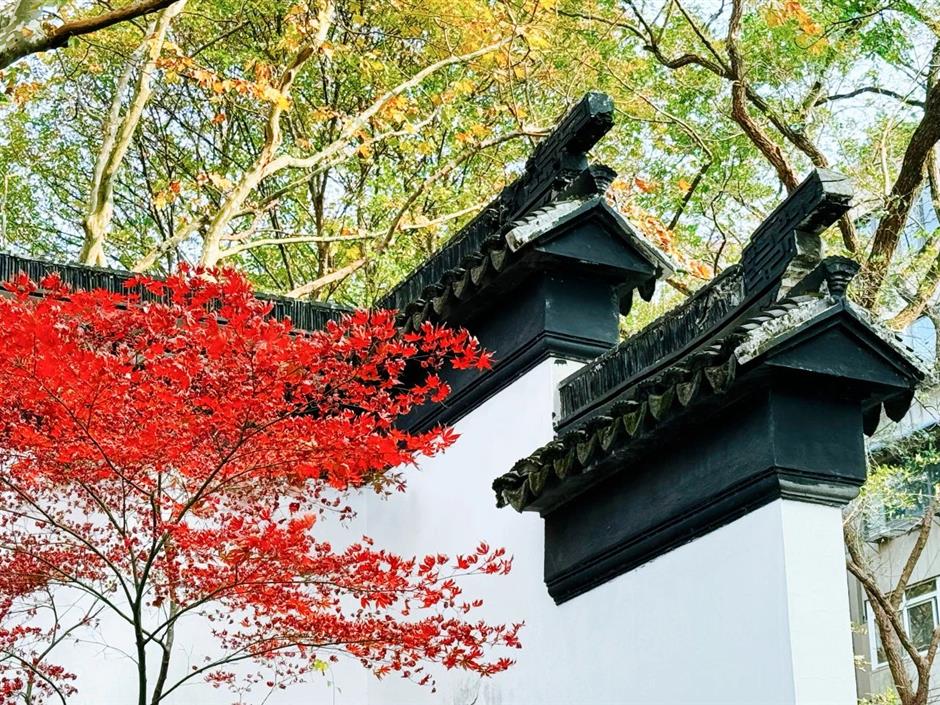 这些超美打卡点,随手一拍都是大片