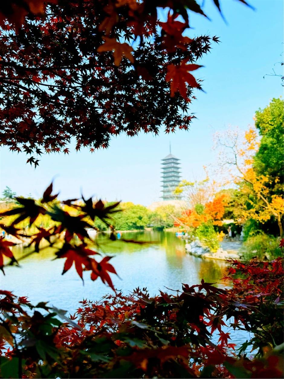 这些超美打卡点,随手一拍都是大片