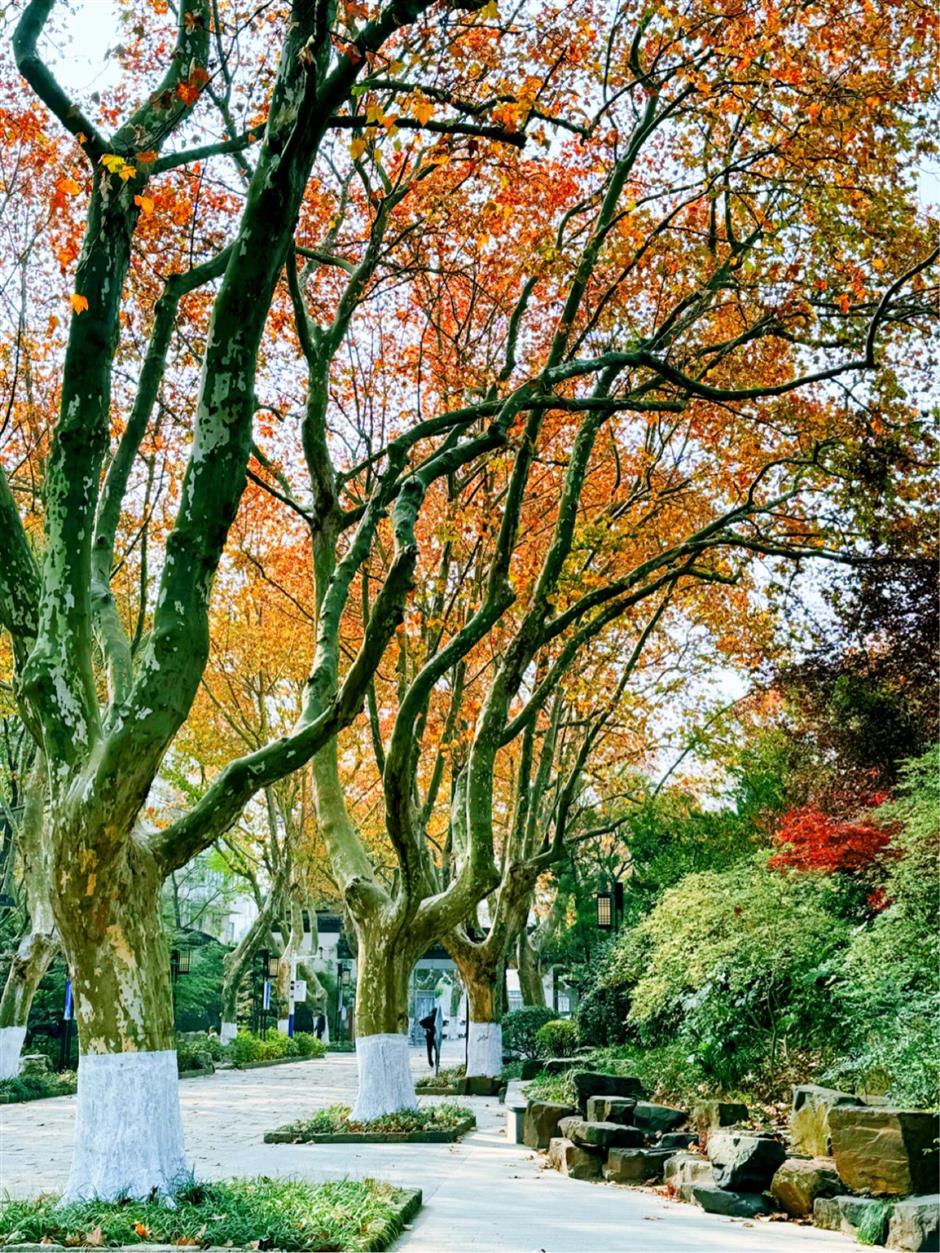 这些超美打卡点,随手一拍都是大片