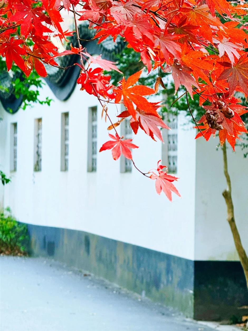 这些超美打卡点,随手一拍都是大片