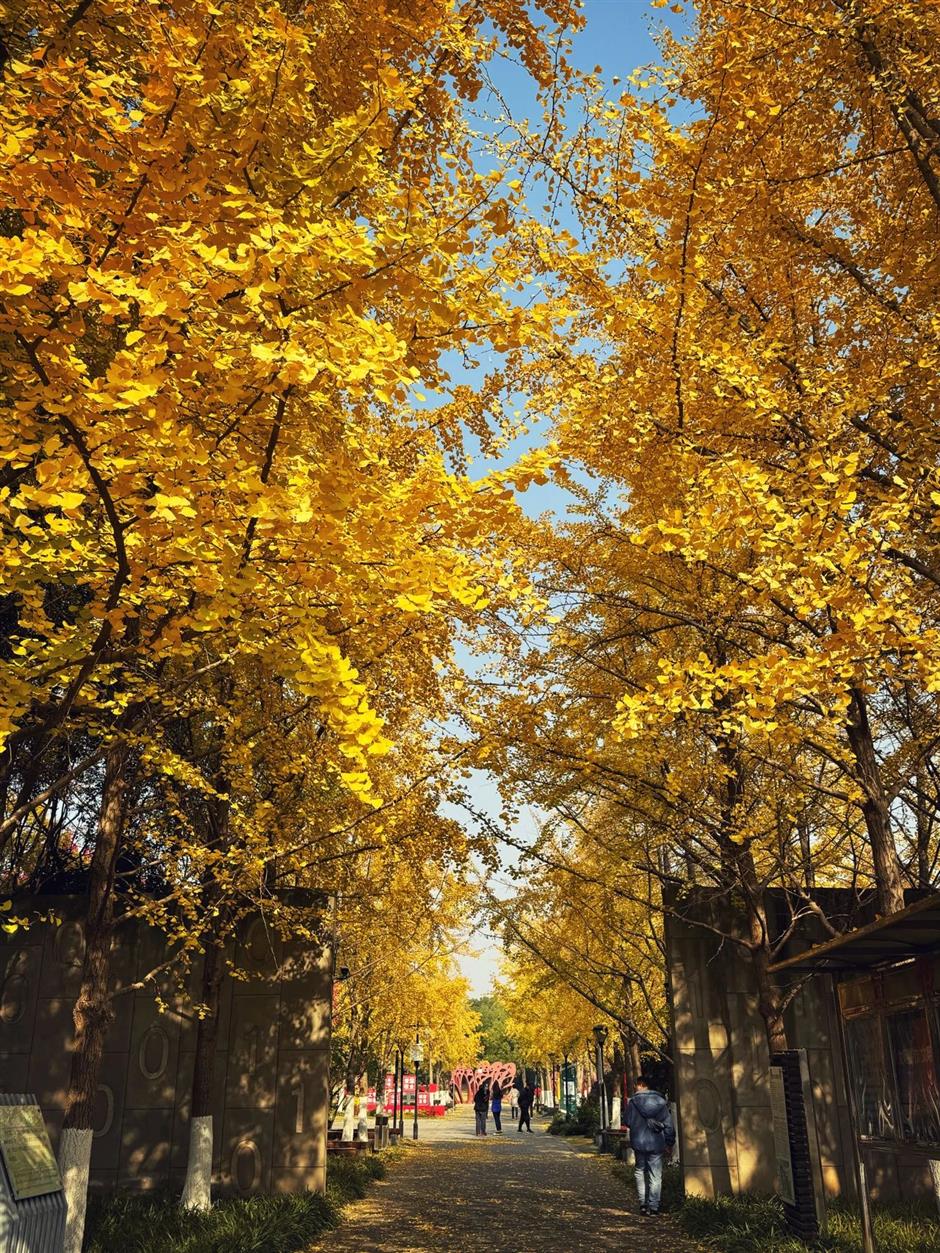 这些超美打卡点,随手一拍都是大片