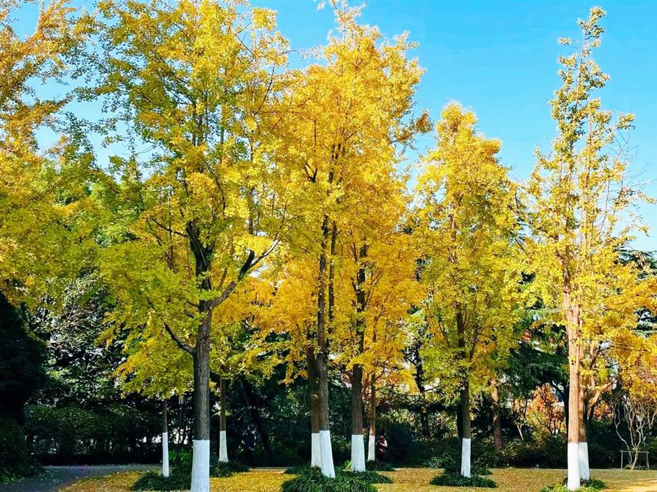 这些超美打卡点,随手一拍都是大片