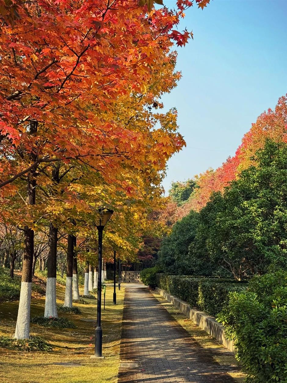 这些超美打卡点,随手一拍都是大片