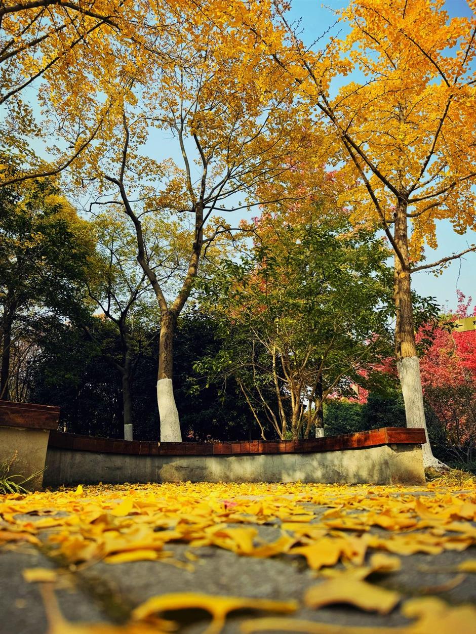 这些超美打卡点,随手一拍都是大片