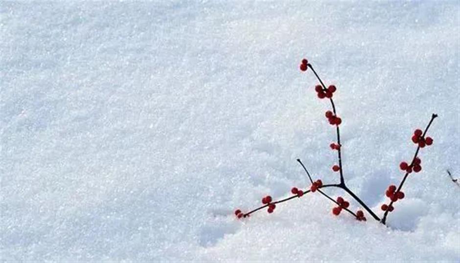 节气之美 | 夜深知雪重,时闻折竹声