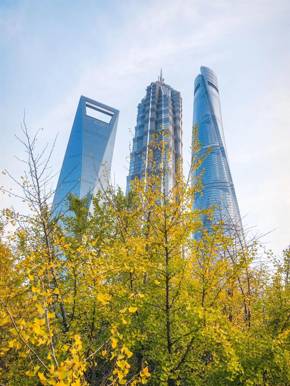 免费秋色,快来打卡