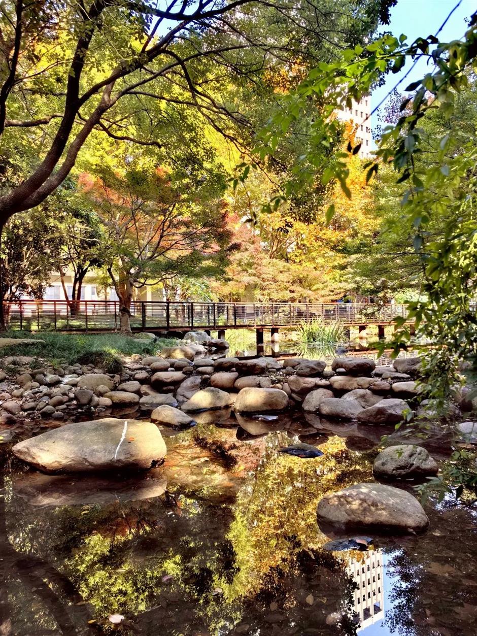 免费秋色,快来打卡